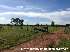 Fazenda diamantino / mt 884 hectares